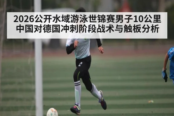 2026公开水域游泳世锦赛男子10公里中国对德国冲刺阶段战术与触板分析